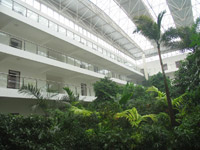 ̫�Oһ��������^���ˆ��g