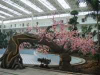 ̫�O������