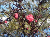 ̫�O�²����O�乫˾���쾰ɫ