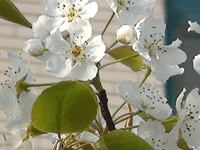 ̫�O��@��ɫ��̫�O�²����O�乫˾