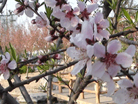 ̫�O��@��ɫ��̫�O�²����O�乫˾