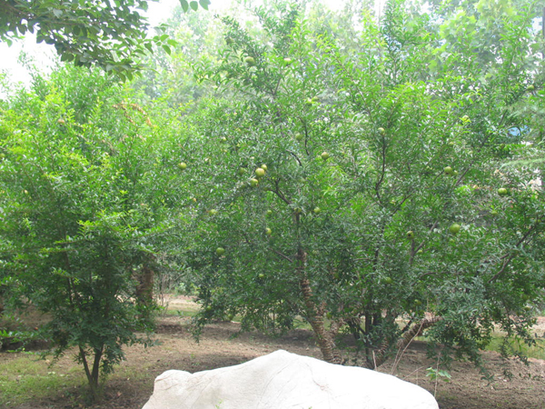 ̫�O�²����O�乫˾